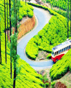 munnar trip from pune