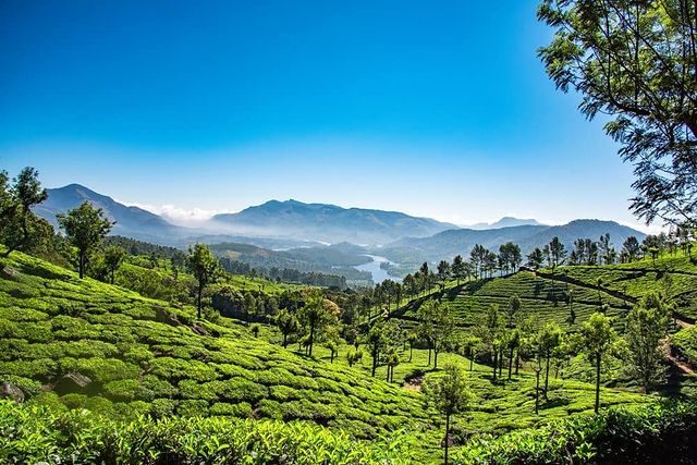 munnar tour package from bangalore